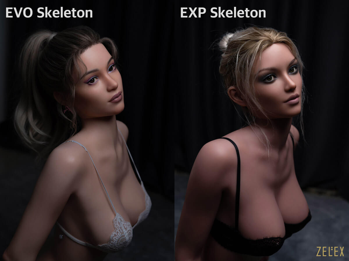 Vergleich von EXP- und EVO-Skelett